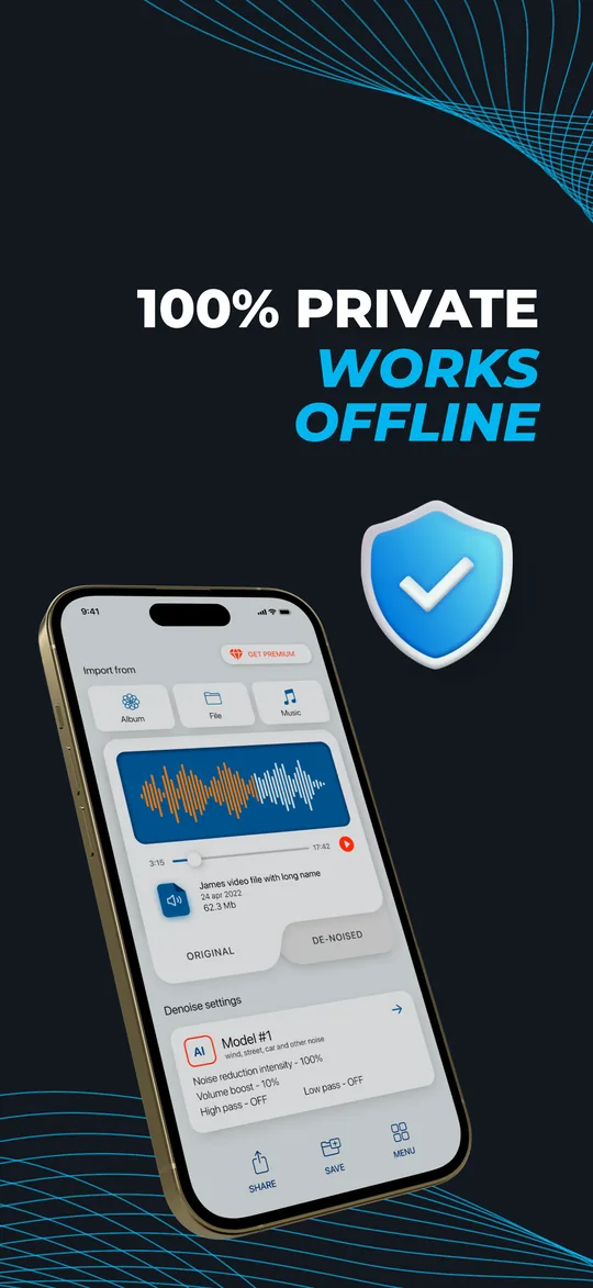 Denoise settings showing the AI model, noise reduction intensity and filters