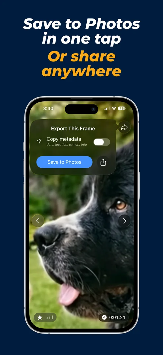 Export panel with a copy metadata toggle and a Save to Photos button