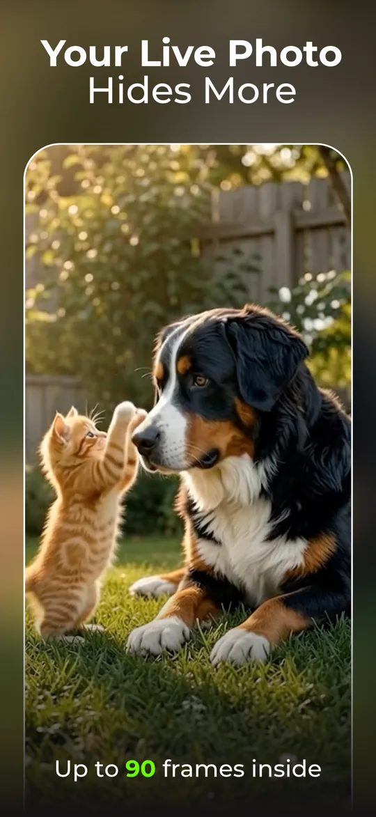A Live Photo of a kitten and a dog, with a note that it contains up to 90 frames